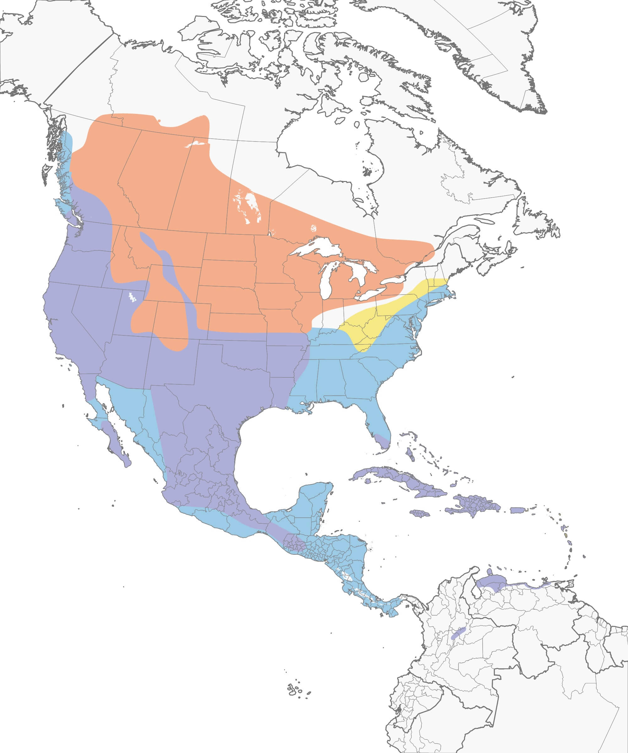 American Coot Migration Range Map